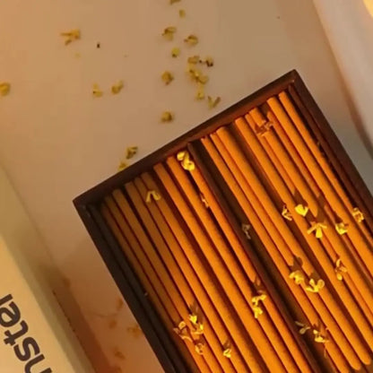 Palo Santo Ritual Incense